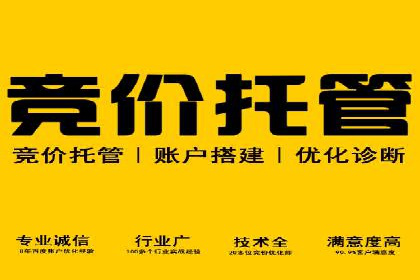竞价推广案例：小投入大回报的成功之道